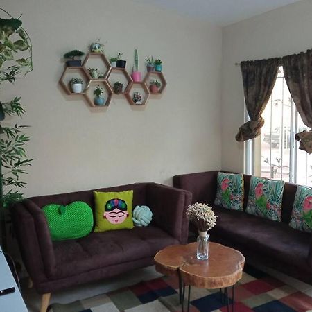 Ferienwohnung La Casa Del Pinito Sonsonate Exterior foto