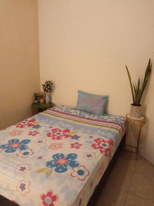 Ferienwohnung La Casa Del Pinito Sonsonate Exterior foto