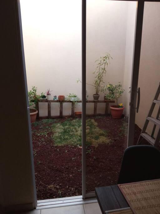 Ferienwohnung La Casa Del Pinito Sonsonate Exterior foto
